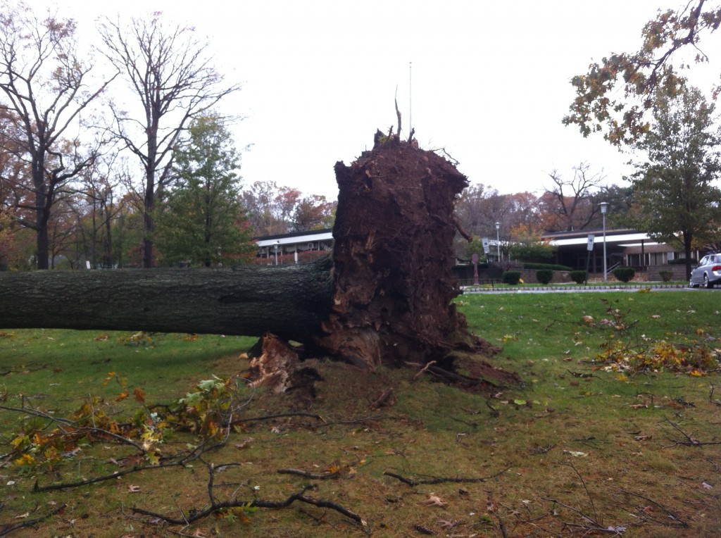 Hurricane Sandy Destruction 2